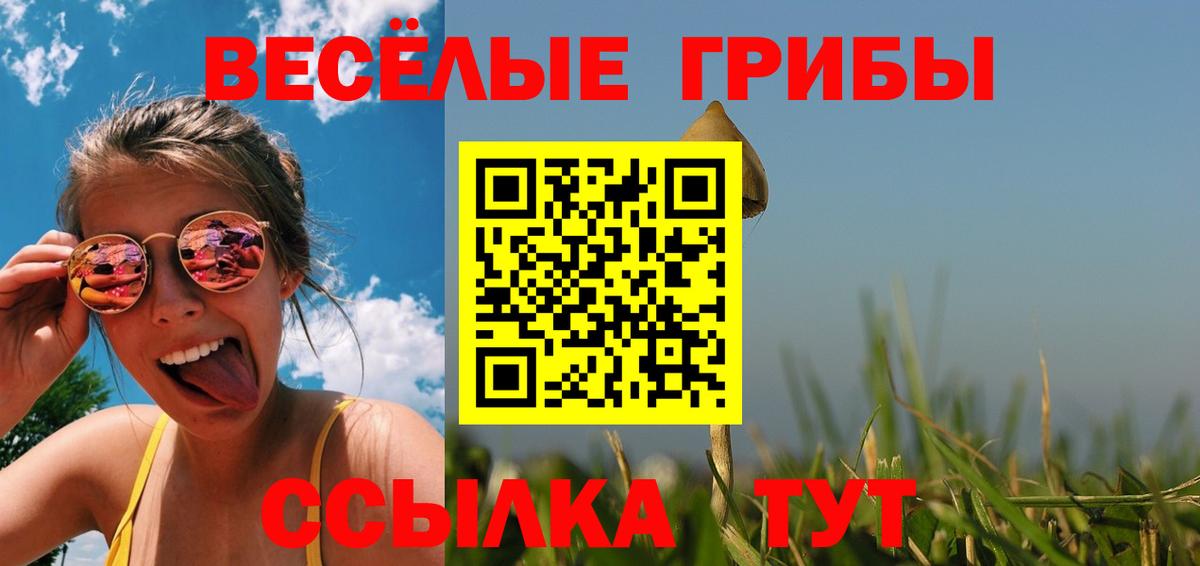 Галлюциногенные грибы Psilocybe  Вход с VPN  Светлоград 
